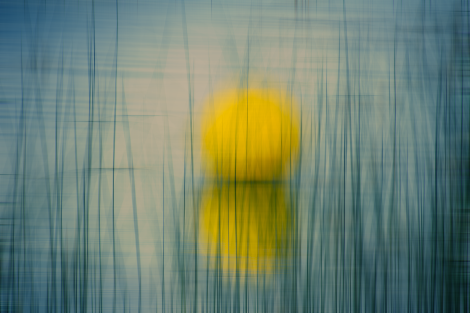 La bola groga a l'aigua