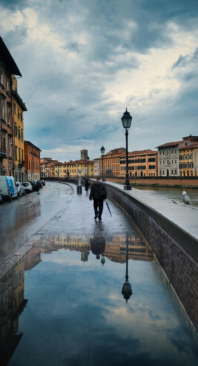 El bassal com mirall